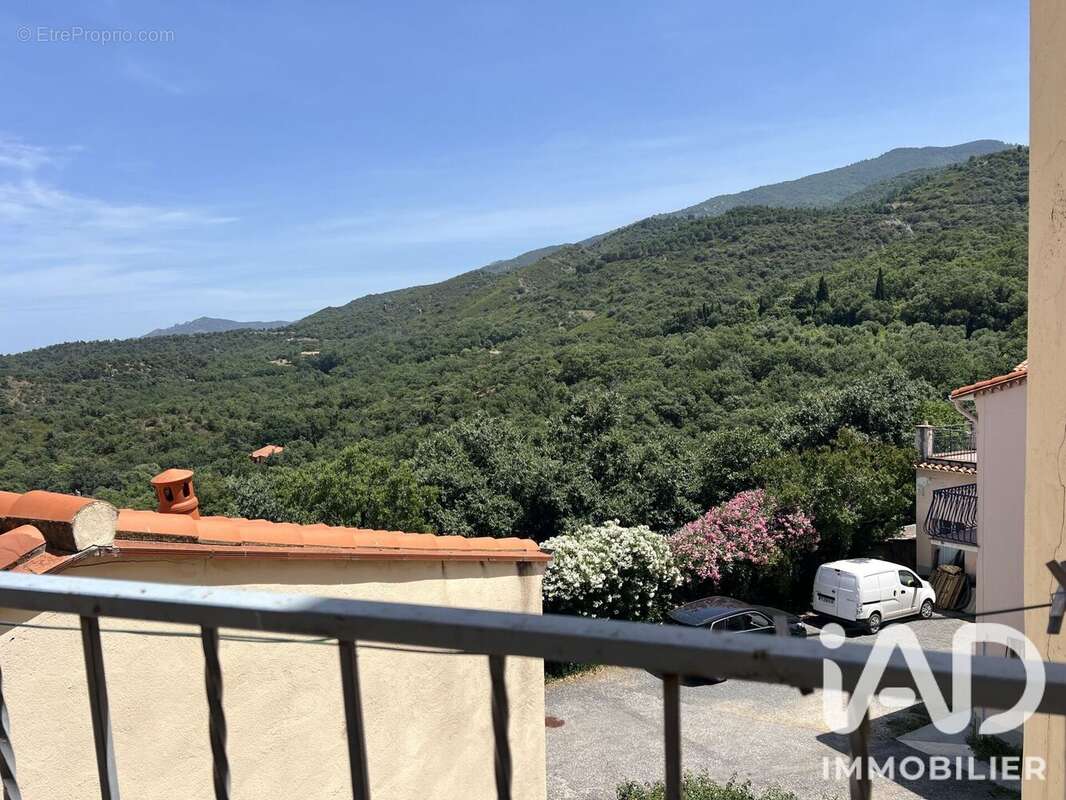 Photo 5 - Maison à MONTESQUIEU-DES-ALBERES