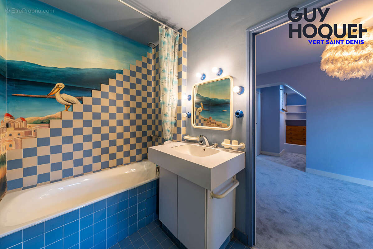 Maison à SEINE-PORT