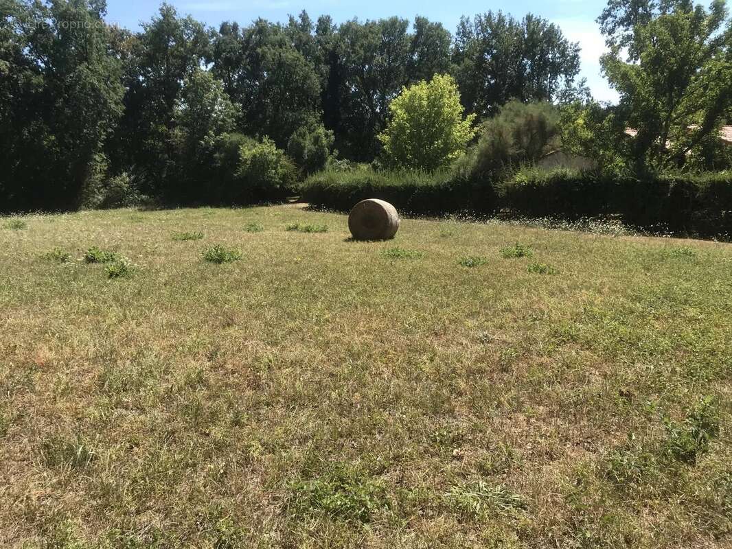 Terrain à CORDES-SUR-CIEL