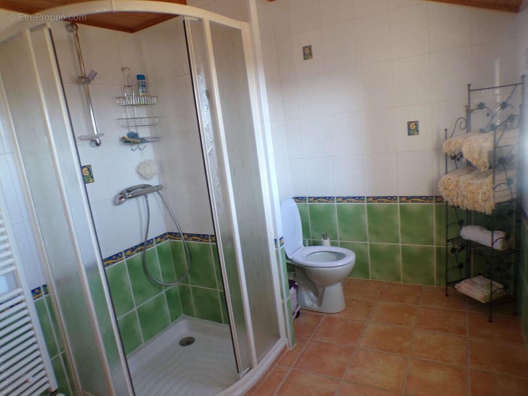 MAISON DE VILLAGE - 5 chambres de 167 m2 au coeur de Saint-Jeure-d'Andaure- Vue dégagée - photo 60