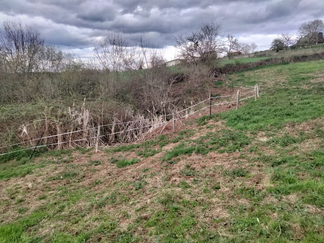 Maison à PANISSIERES