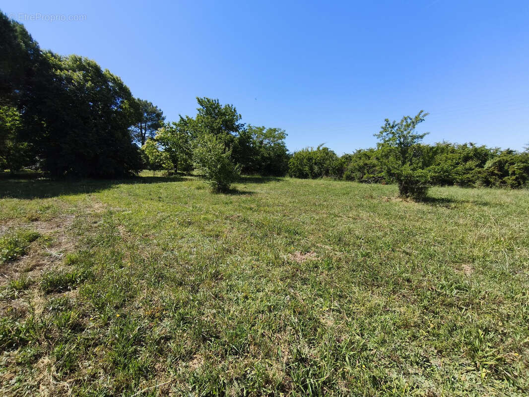 Maison T5 de 151 m2 rénovée en 2020 sur un terrain 8400 m2 - photo 19