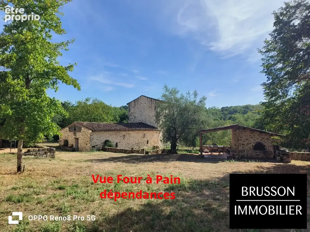 Maison 11 pièces 462 m² à vendre à Burlats (81100) - photo 6