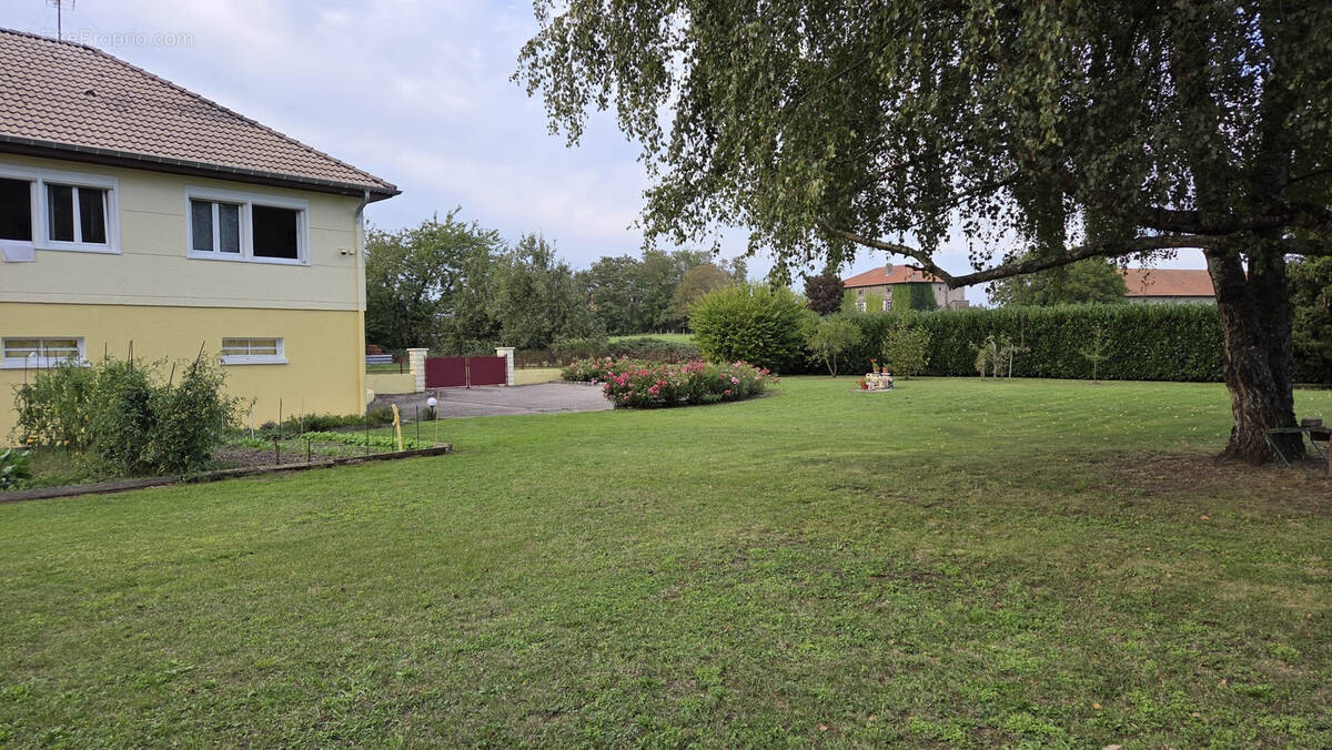 Maison à REHAINVILLER