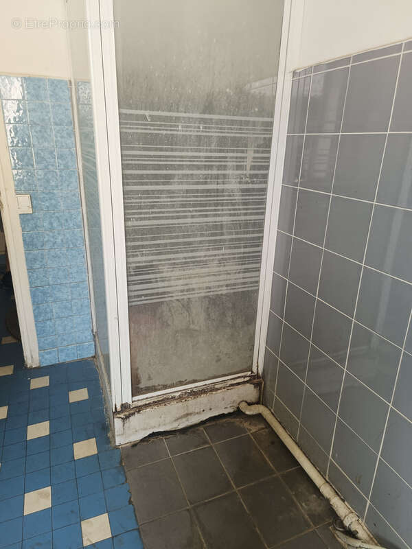 Peage de roussillon - immeuble - 140m2 - photo 12