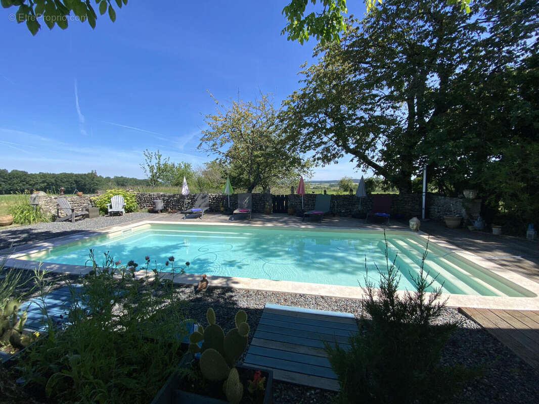 Maison de campagne sans voisinage. 4 chambres. Piscine. Belles vues. - photo 2