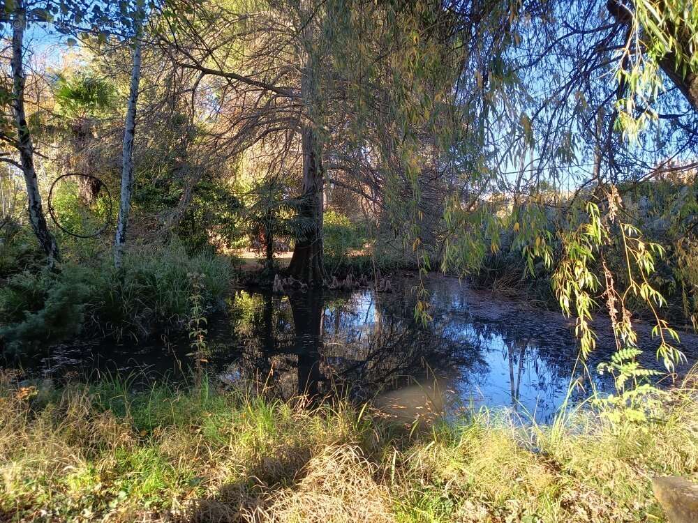 Maison à CARCASSONNE