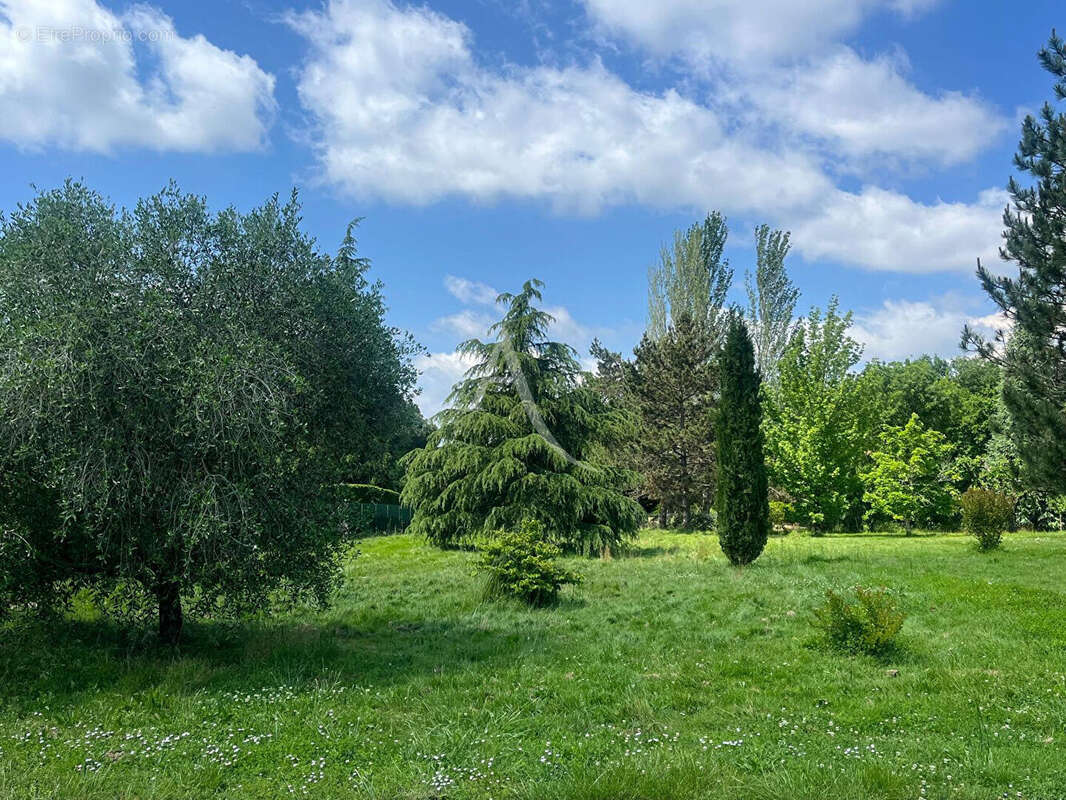 Terrain à MONTAUBAN