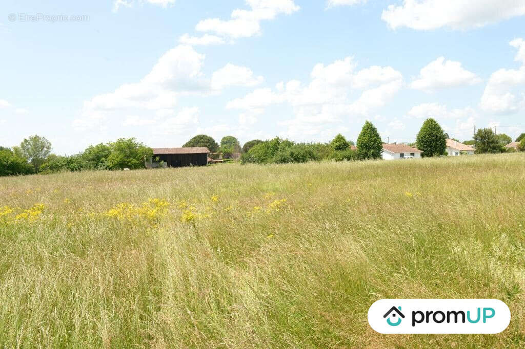 Terrain à SAINTE-LIVRADE-SUR-LOT