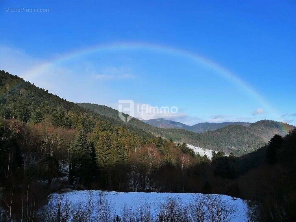 Immeubles 5000 m2 sur 4 ha Murbach - photo 5