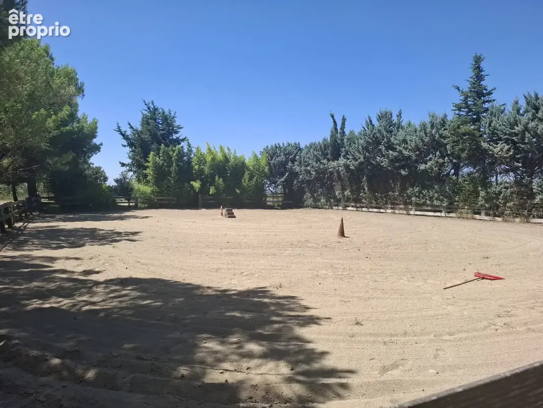 Domaine entre Alpilles et Arles - photo 39