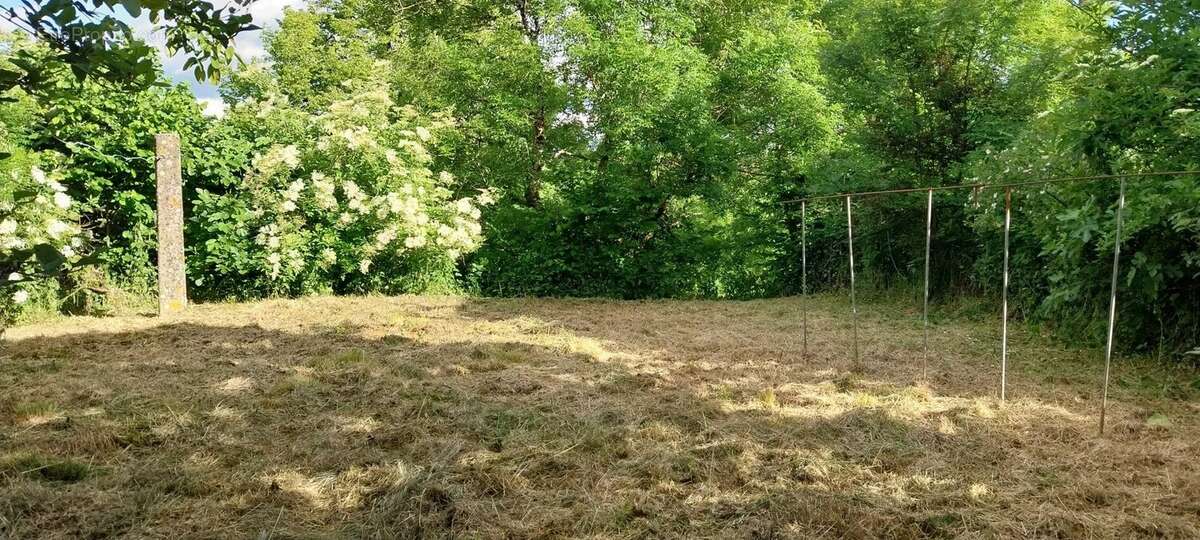 Maison à SAINT-ANTONIN-NOBLE-VAL