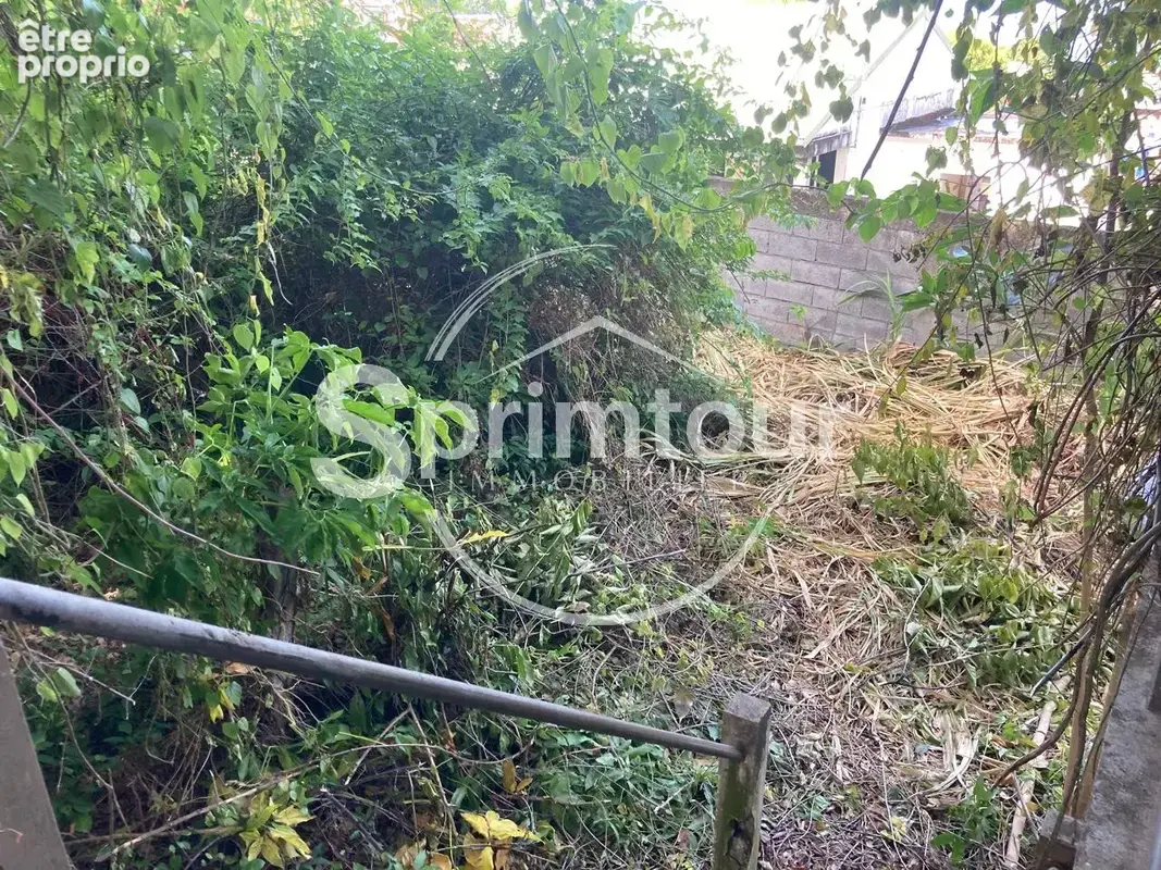 À vendre   Terrain constructible de 2999 m2 à Basse-Terre - photo 14