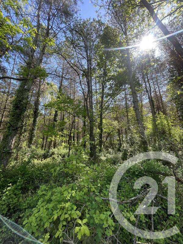 Terrain à MONTAUBAN