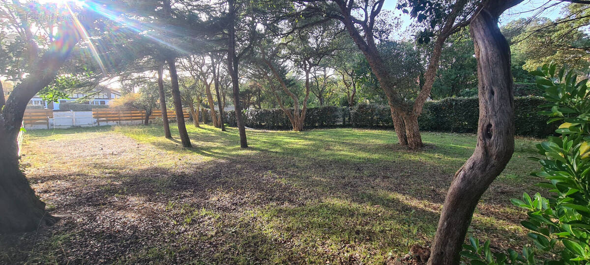 Photo 1 - Terrain à LABENNE