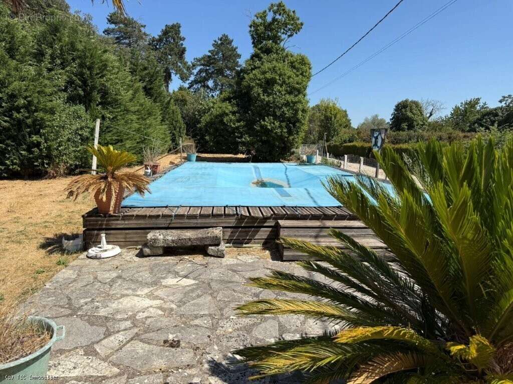 Havre De Paix : 4 Chambres, Grange, Grange, Piscine Et Vue Dégagée - photo 23