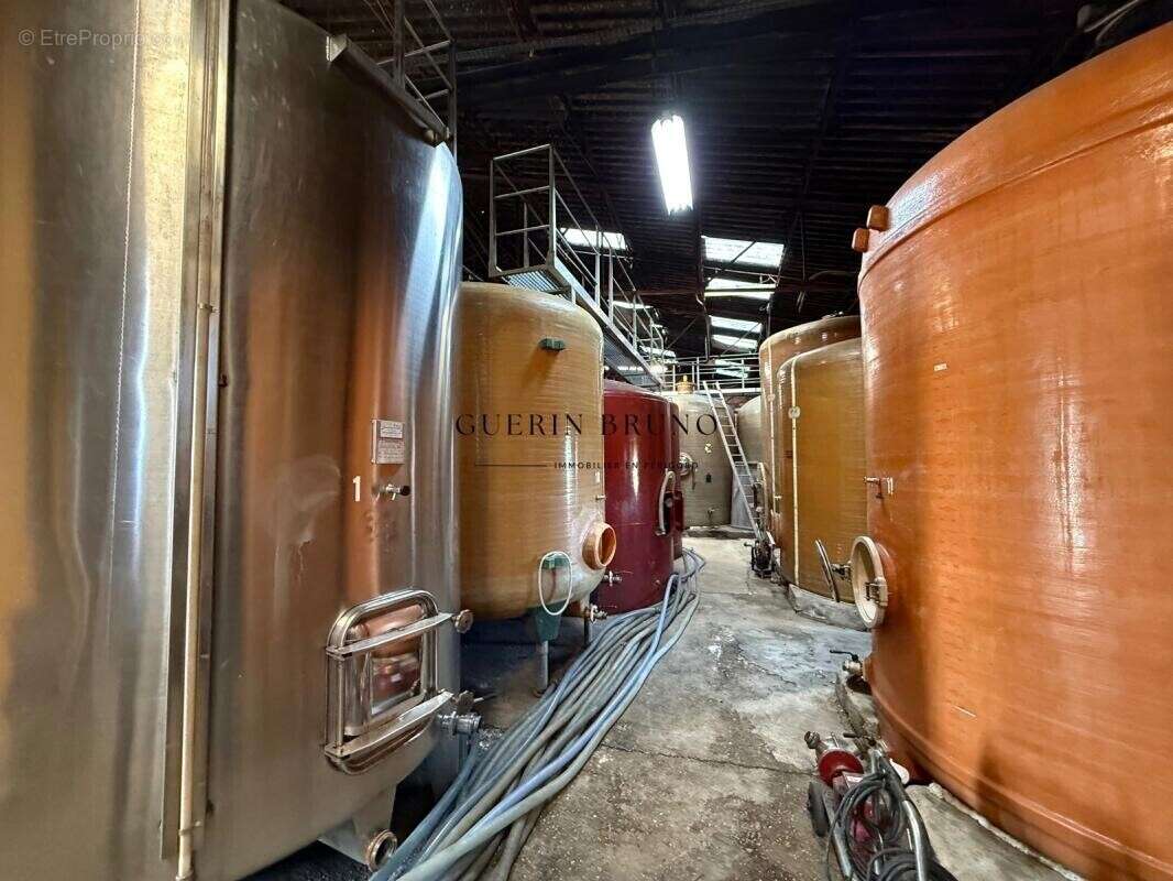 Maison à MONBAZILLAC