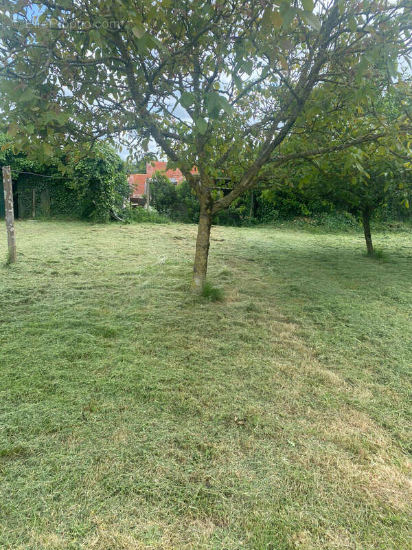 Terrain à BOURGNEUF-EN-RETZ