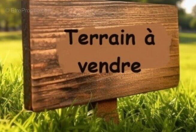 Terrain à GRUES