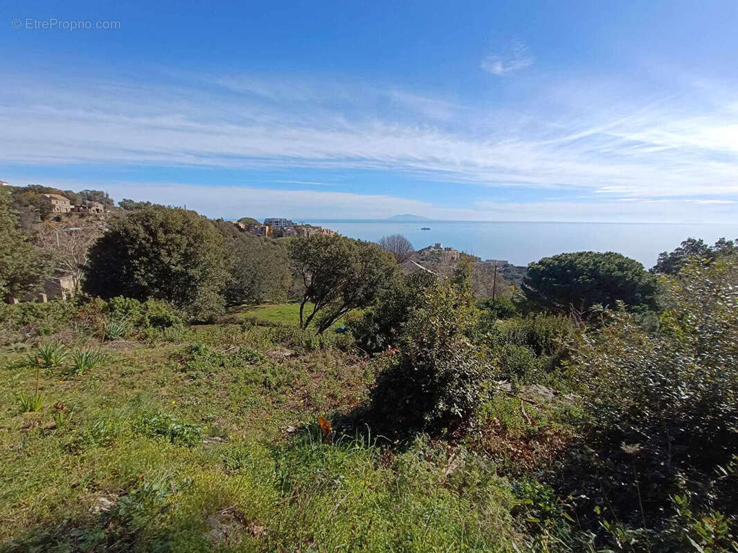 Terrain à BASTIA