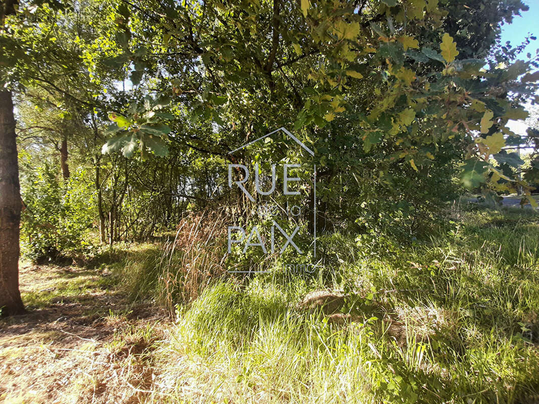 Terrain constructible sur Leigné Sur Usseau 1920 m2 - photo 3