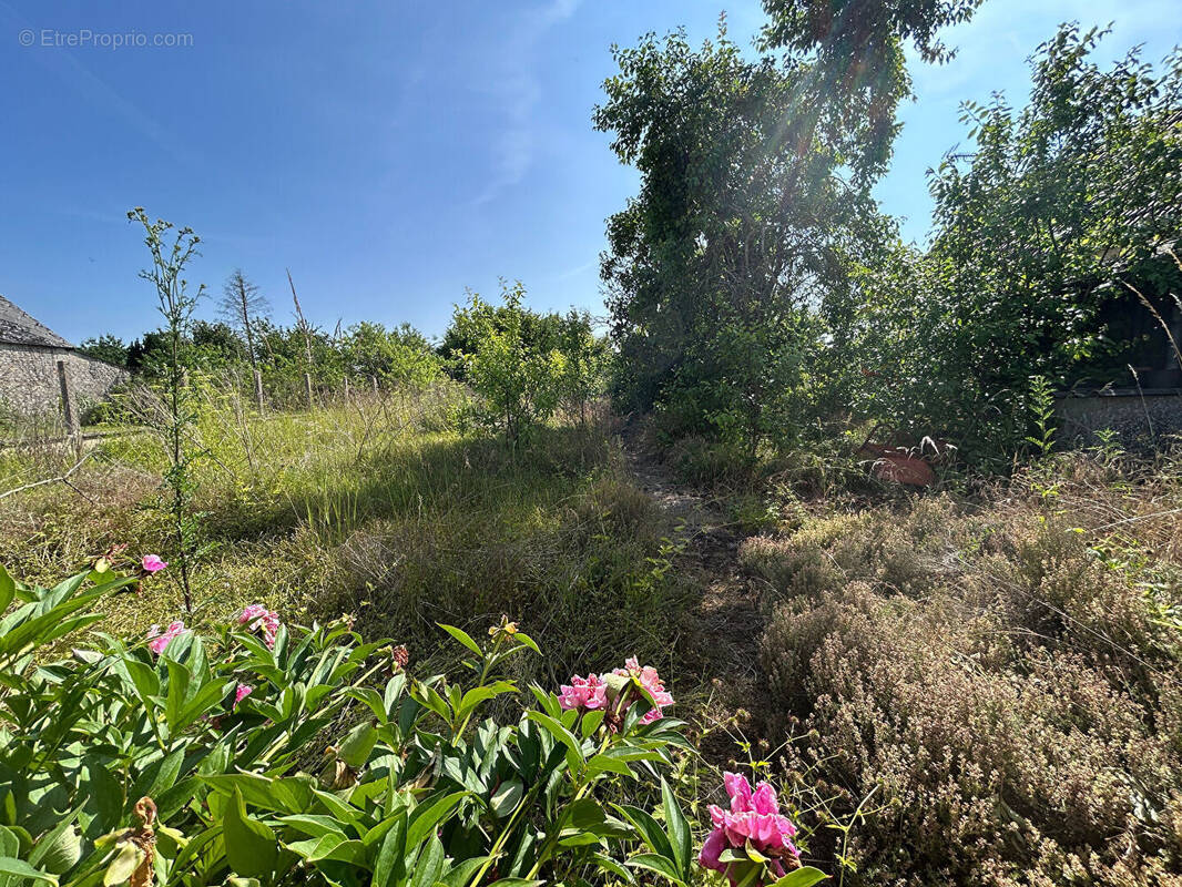 Terrain à SANCHEVILLE