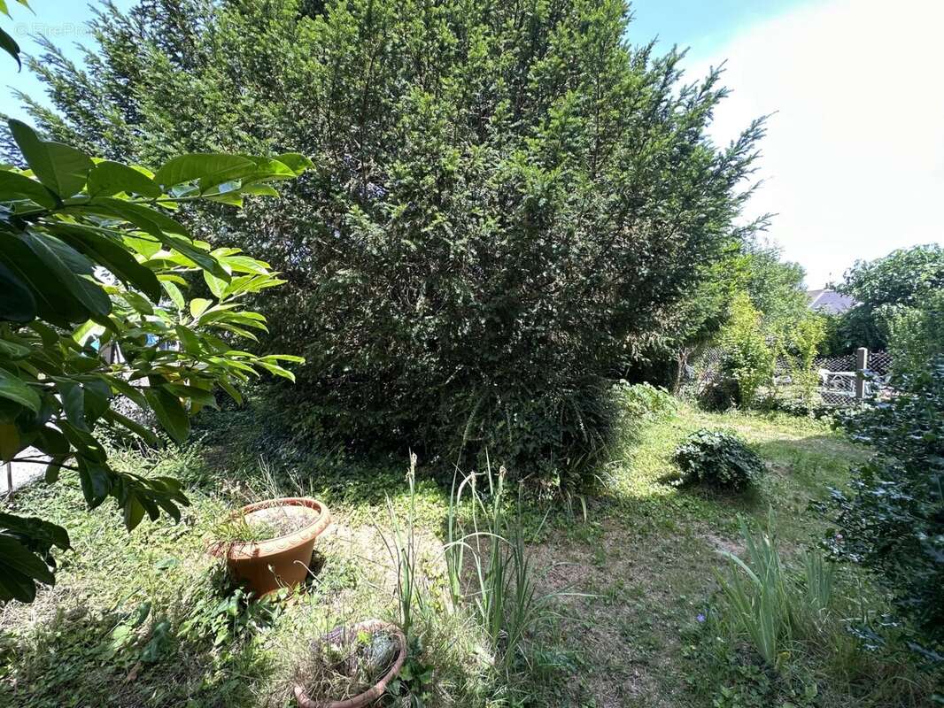 Maison à LE MESNIL-SAINT-DENIS