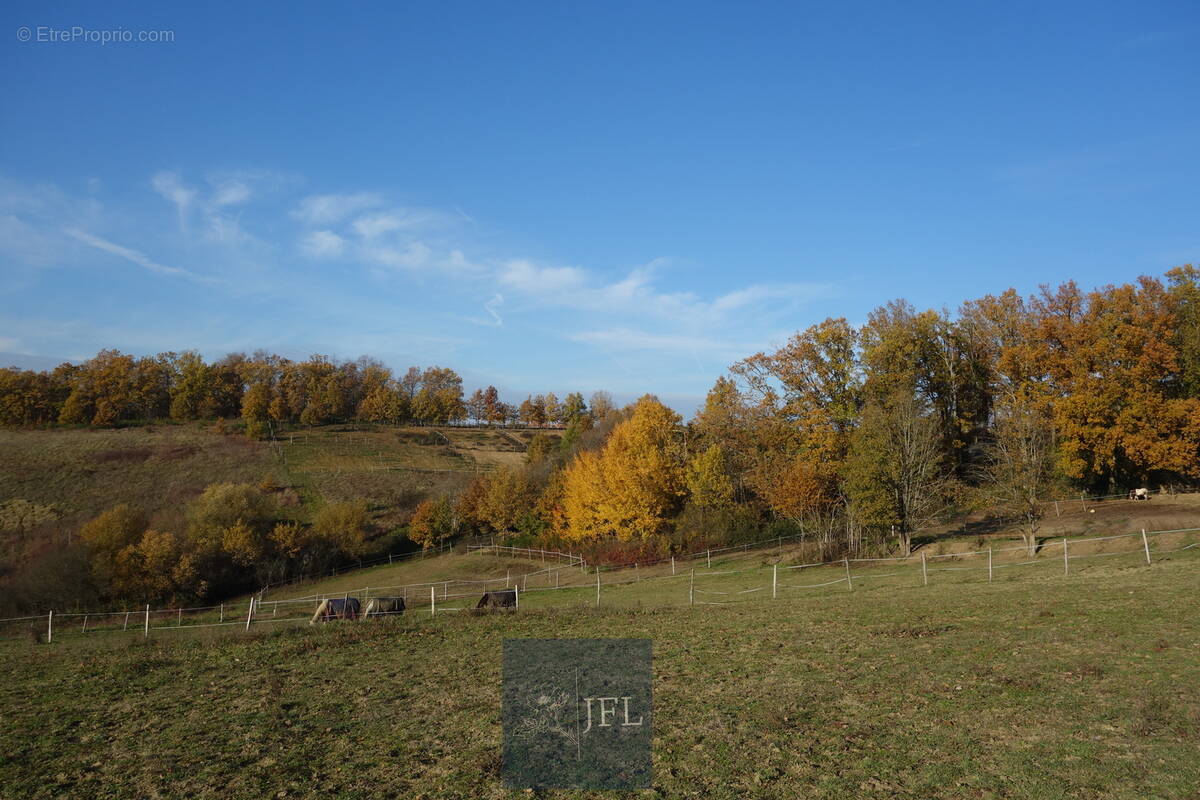 n°1 - Maison à MOISSAC