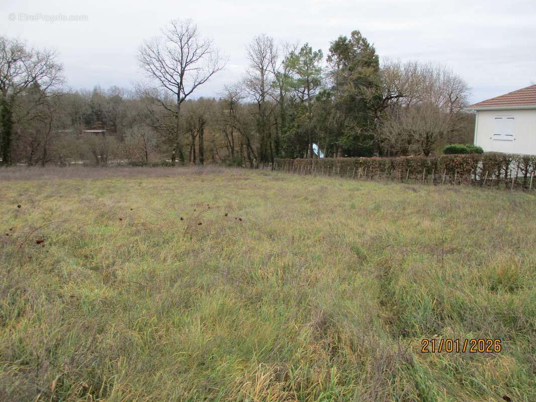 Terrain à CEAUX-EN-COUHE