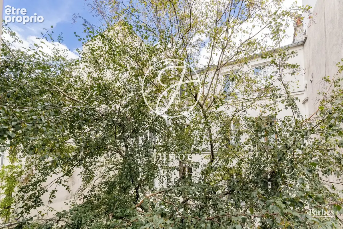 Paris 18e - HAUT MONTMARTRE / RUE BERTHE - Appartement - 2 pièces - 28,15m² Carrez - 1 chambre sur cour arborée - photo 15