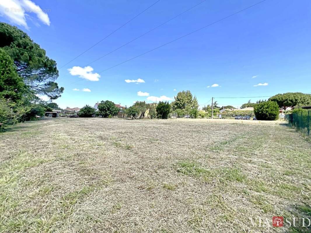 Terrain à MARAUSSAN