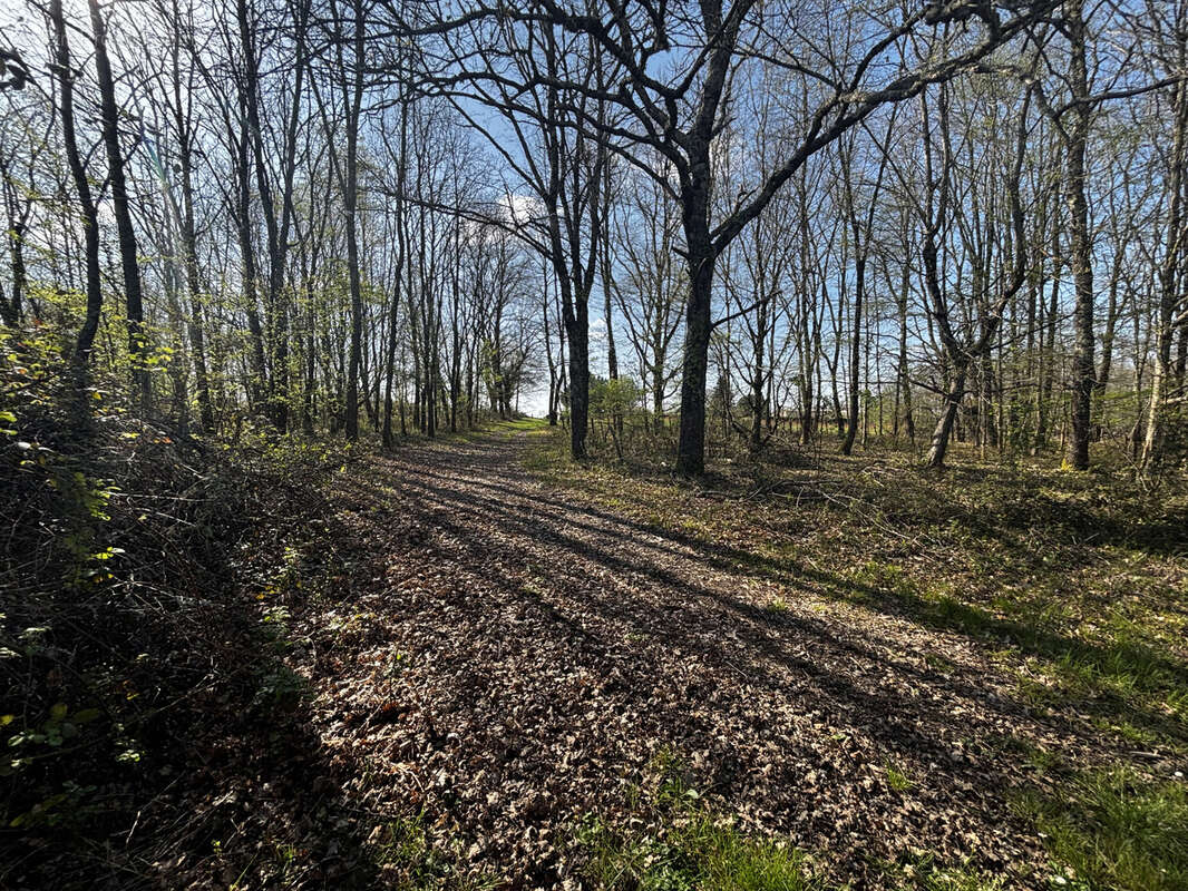 Maison à FOUGUEYROLLES