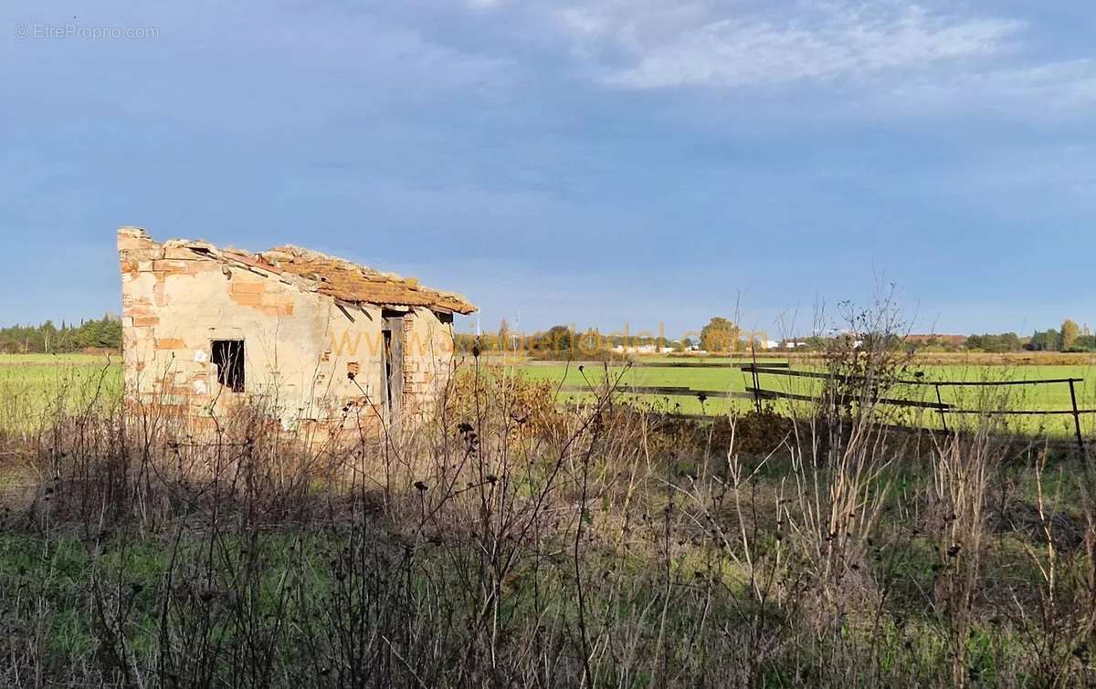 Terrain à MARSILLARGUES
