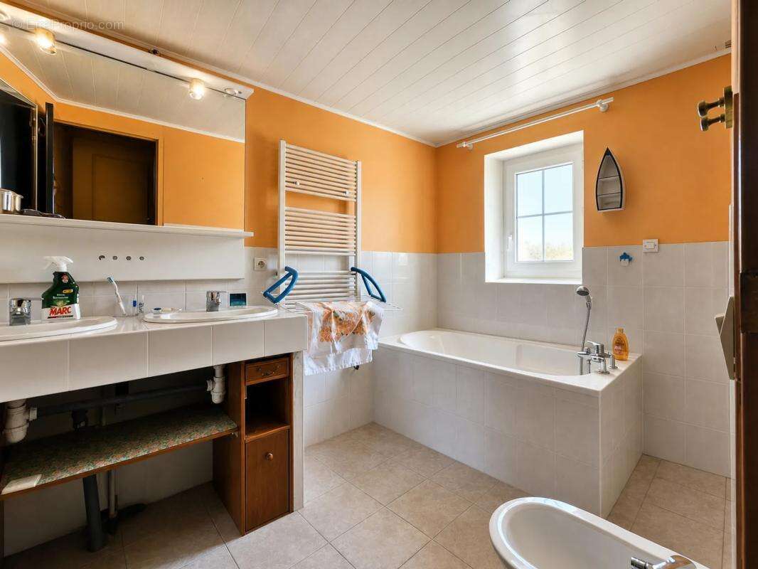 Maison de 10 pièces de 250 m² à Pardaillan - photo 15