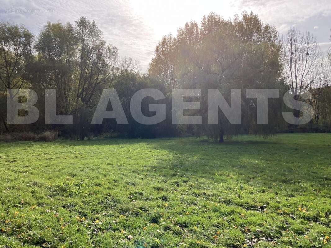 IMG_8060 - Terrain à LA FERTE-SOUS-JOUARRE