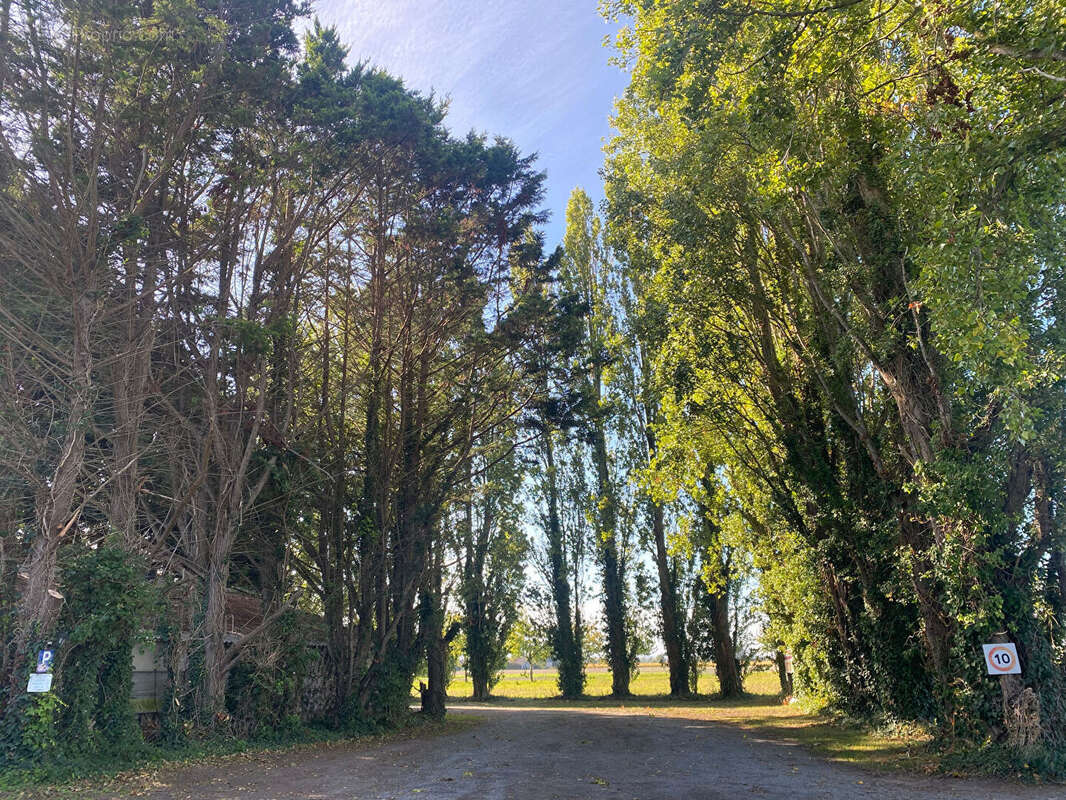 Maison à SAINT-MALO