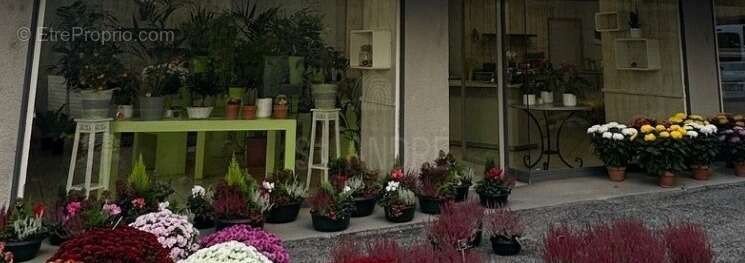 Commerce à BEAUREPAIRE