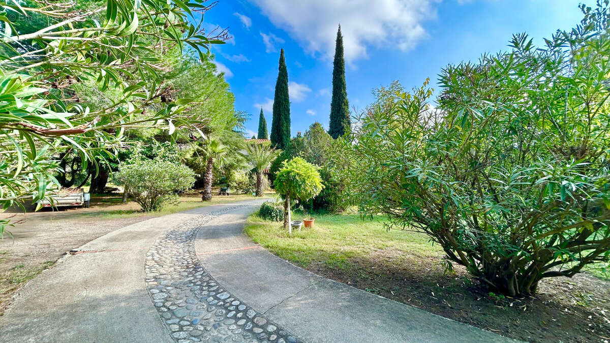 Maison à MONTESQUIEU-DES-ALBERES