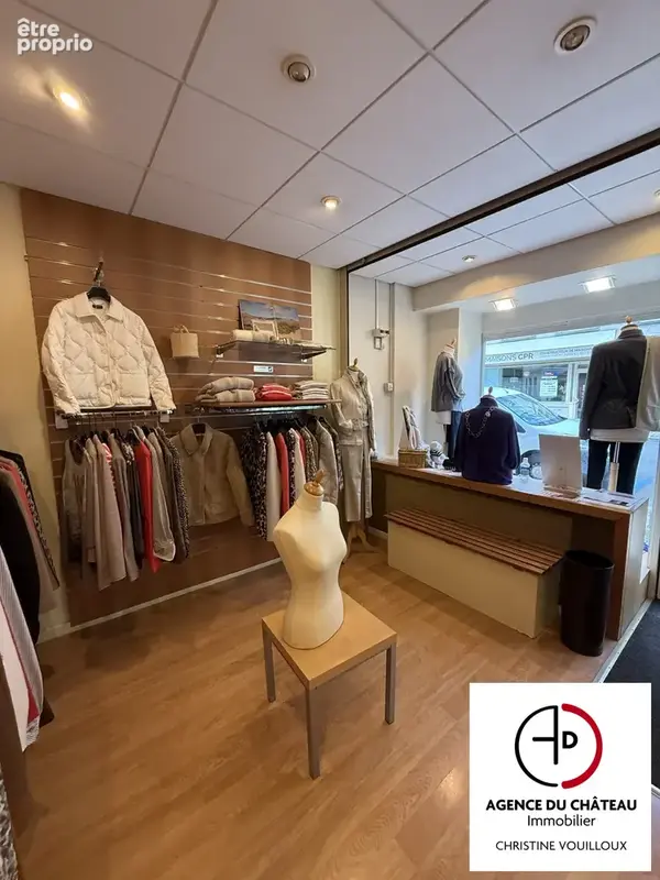 Commerce 100 m² à vendre à Chateauneuf-Sur-Loire (45110) - photo 1