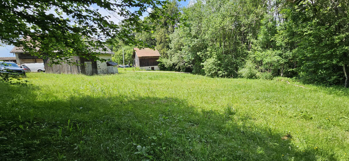 Terrain à THORENS-GLIERES