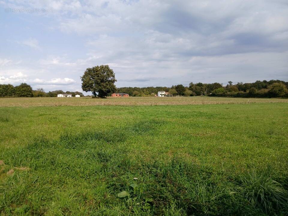 Terrain à TOCANE-SAINT-APRE