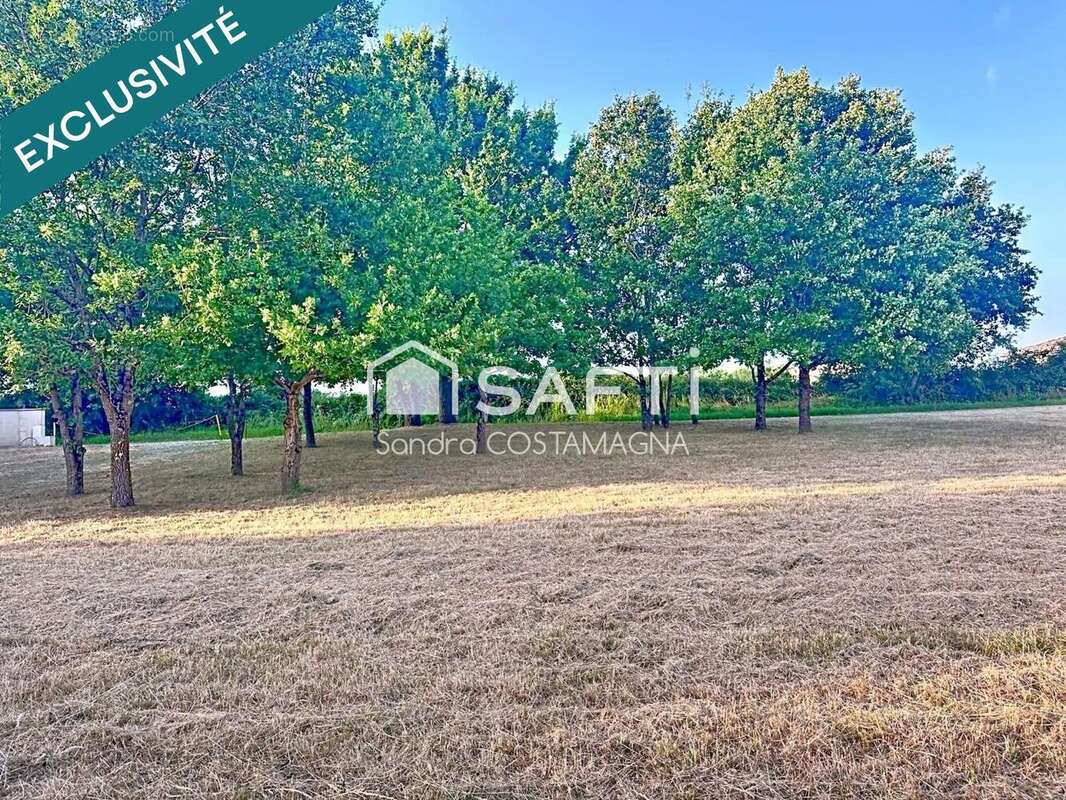 Photo 8 - Maison à MONTAUBAN