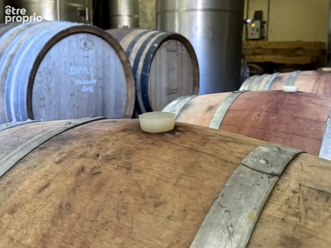 Sud luberon   domaine viticole de 39 ha avec bastide de caractère - photo 18