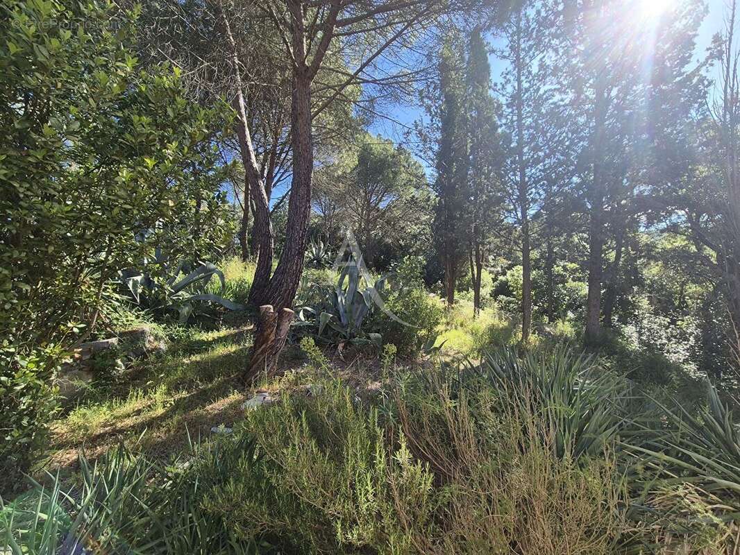 Terrain à GIGEAN