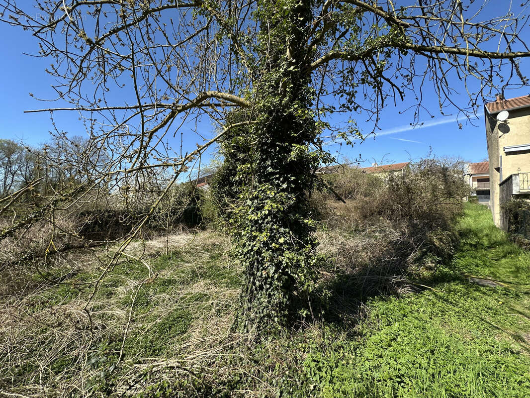 Terrain à HAUTE-VIGNEULLES
