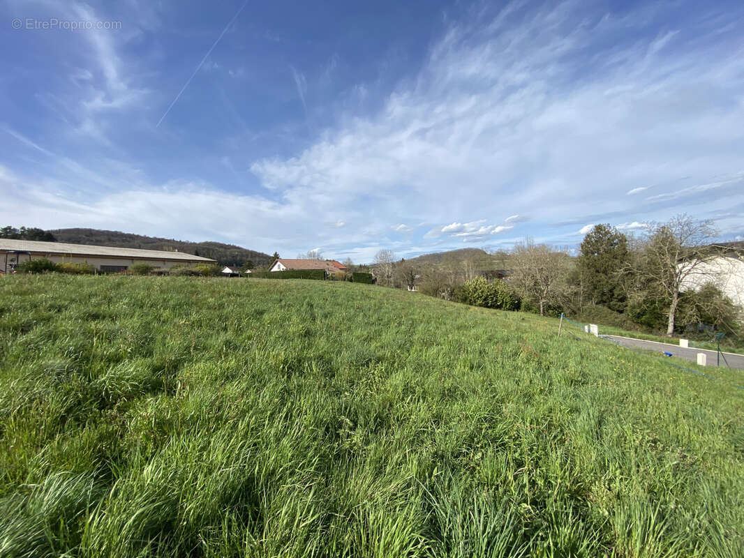 Terrain à SAINT-GEOIRE-EN-VALDAINE