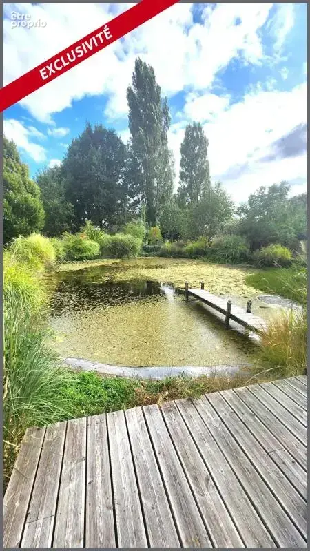 Grande Charentaise - photo 17
