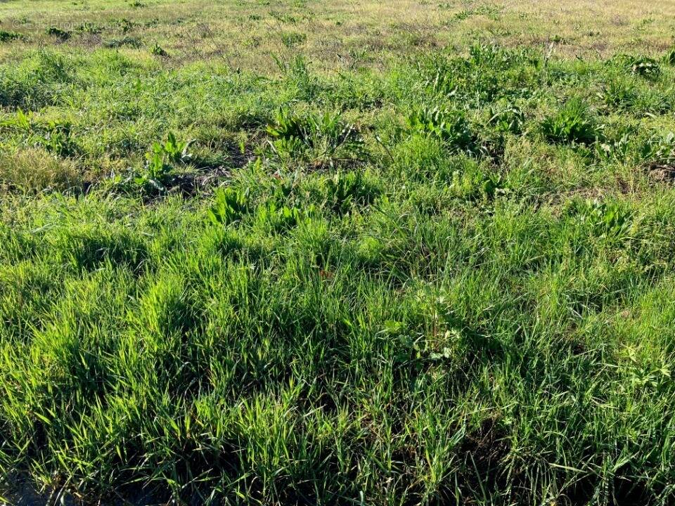 Photo Terrain à Pons au prix de 23 900€
