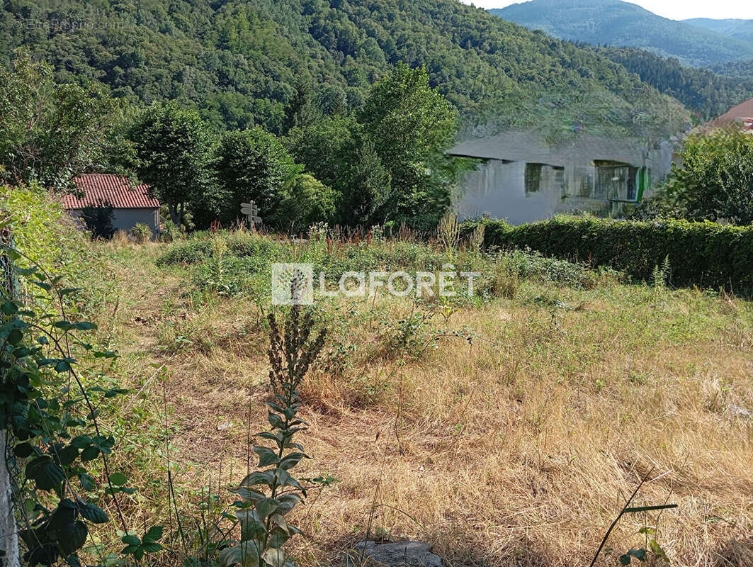 Terrain à PRATS-DE-MOLLO-LA-PRESTE