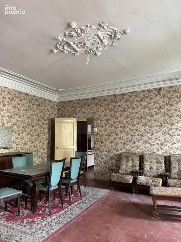Maison de maître  700 m²  r+3 - photo 2